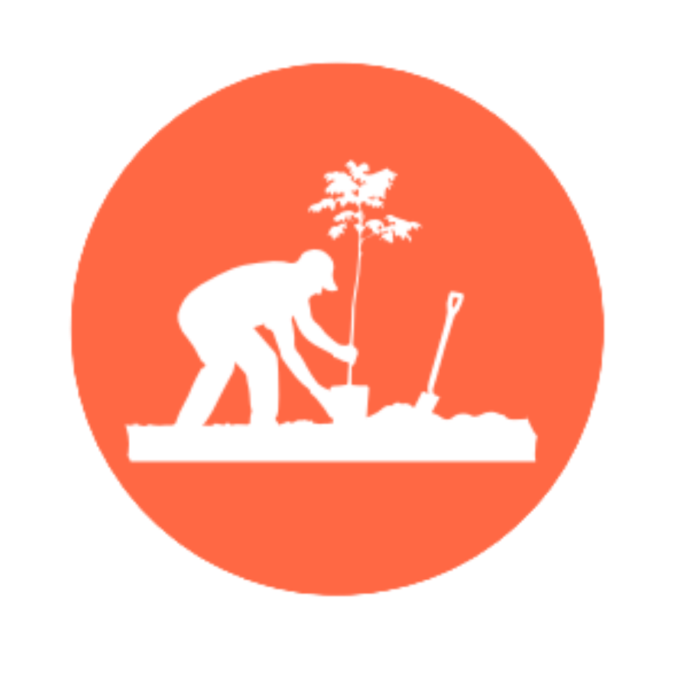 3 3